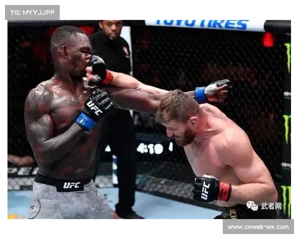 “胡耀宗降服伊朗悍将，关谷KM赛事中国大级别选手表现亮眼”